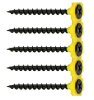 Photo of Collated Drywall screws - PH - Coarse thread - Black
