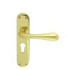 Photo of Manital Astro lever handle on lock backplate - Euro profile keyhole - 47.5mm c/c - Polished Brass